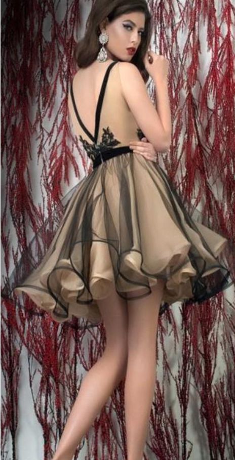 Little Black Dress Sexy Homecoming Dresses A-line Short Party Dress cg3356