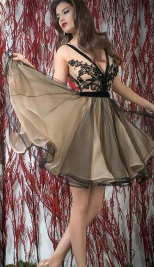 Little Black Dress Sexy Homecoming Dresses A-line Short Party Dress cg3356