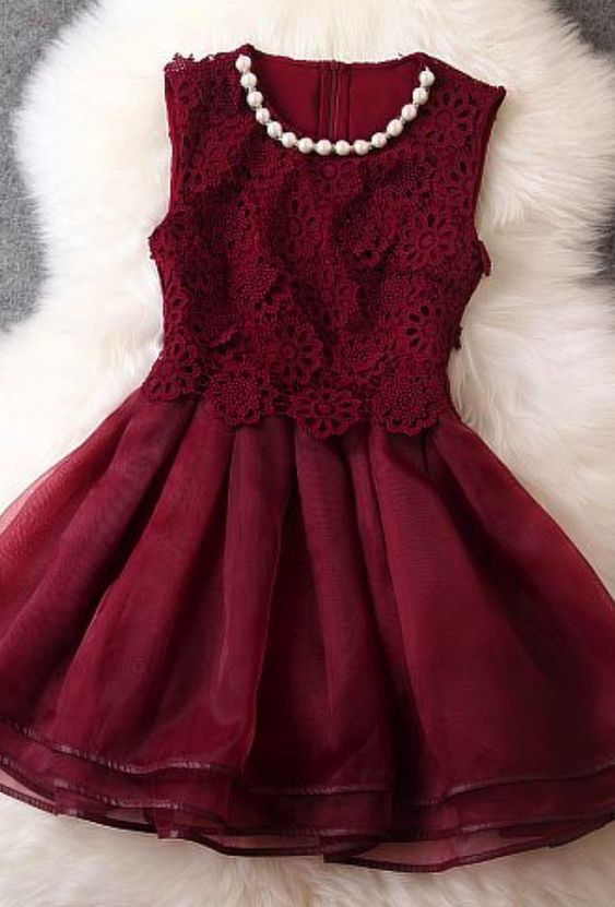 Elegant Dark Red Short Homecoming Dress cg2911